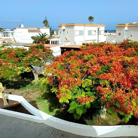 Tenerife Americas Bungalow Apartamento *